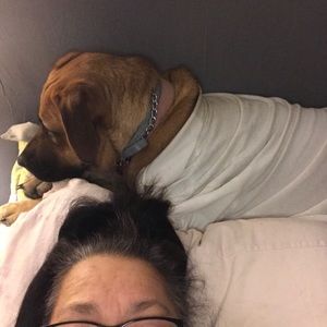 Meet your Posher, Ginger